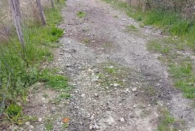 Teren de 950 mp, în Central - 1