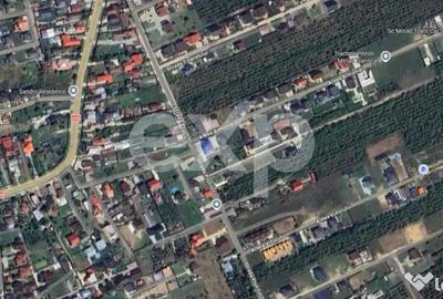 Teren în Trivale - 2