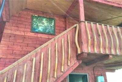 Casă cu Teren 6000 Mp în Câmpeni - 8