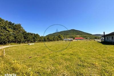 Teren de 700 mp, în Șieu