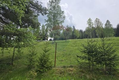 Teren agricol extravilan de 5034 mp, în Iacobeni - 1