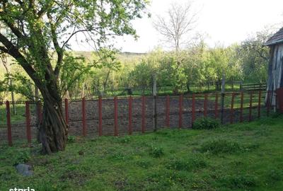 Casă cu 3 camere în Alămor
