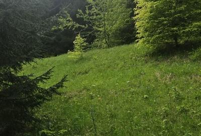 Spațiu comercial, în Drumul Carului - 4