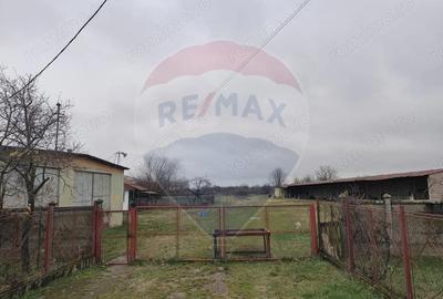 Casă cu 5 camere cu Teren 7531 Mp în Sacu - 12