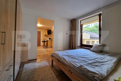 Apartament cu 2 camere semidecomandat în Plopilor - 9