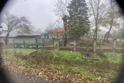 Casă cu Teren 2000 Mp în Șelaru - 1