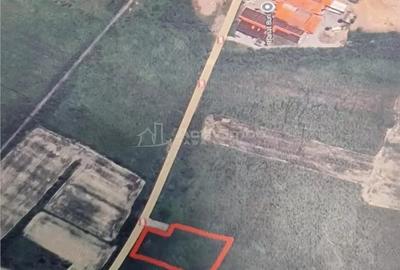 Teren de 1500 mp, în Sud - 1