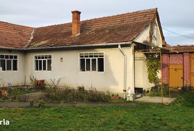 Casă cu 4 camere cu Teren 2000 Mp în Curtea - 1