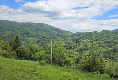 Teren de 5800 mp, în Avram Iancu - 2