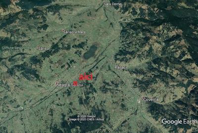 Teren de 22500 mp, în Neagra