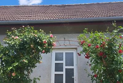 Casă cu 6 camere cu Teren 1880 Mp în Parța - 5