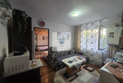 Apartament cu 2 camere decomandat, mobilat în Gojdu