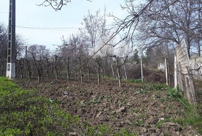 Teren de 2996 mp, în Vest - 2