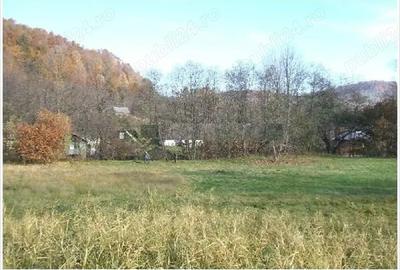 Teren de 1000 mp, în Drăgăneasa - 3