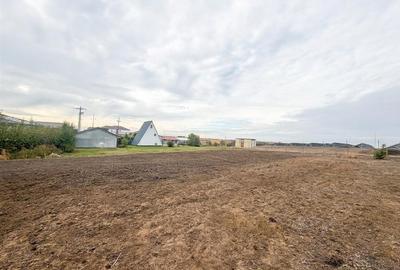 Teren intravilan de 610 mp, în Livada de Bihor