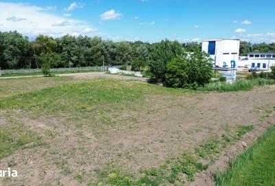Teren de 5000 mp, în Lunca Oltului - 2