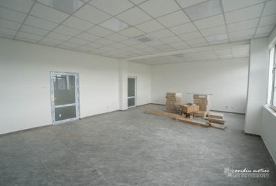 Spațiu industrial, de 1,260 mp, în Sud - 9