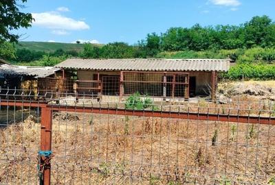 Casă cu 4 camere în Canlia - 7