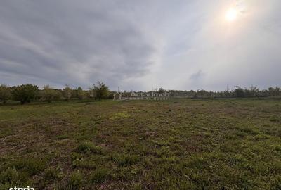 Teren de 793 mp, în Paleu - 3
