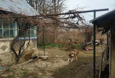 Casă cu 2 camere cu Teren 1100 Mp în Pucioasa-Sat - 4