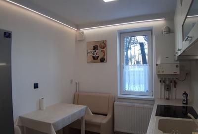 Apartament cu 2 camere decomandat în Dosu Bricii