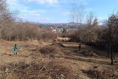 Teren de 4200 mp, în Central - 10