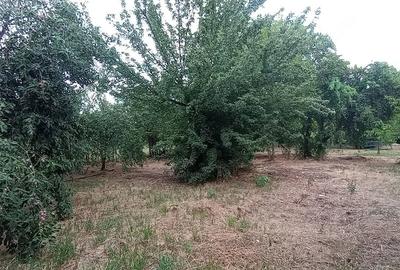 Casă cu 3 camere cu Teren 150 Mp în Gai