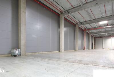 Spațiu comercial, de 20,000 mp, în Chitila - 2
