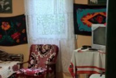 Casă cu 5 camere cu Teren 3670 Mp în Strejeștii de Sus - 4
