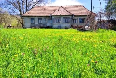 Teren de 27 mp, în Rușii-Munți