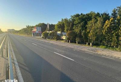 Teren de 500 mp, în Cârcea - 5