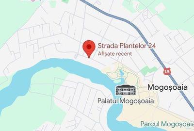Teren de 500 mp, în Mogoșoaia