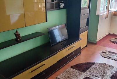 Apartament cu 2 camere semidecomandat în Craiovița Nouă - 8