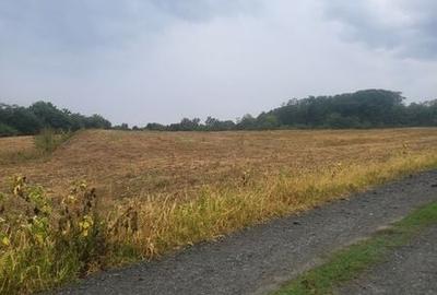 Teren de 5700 mp, în Apahida