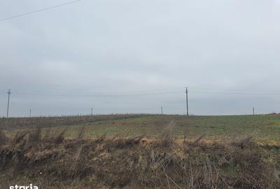 Teren de 140000 mp, în Albești - 3