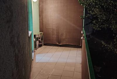 Garsonieră decomandată în Turnișor - 8