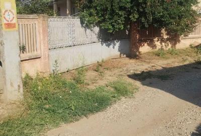 Casă cu 3 camere în Lița