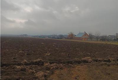 Teren Construcții intravilan de 8503 mp, în Aroneanu - 8