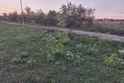 Teren de 457 mp, în Priseaca
