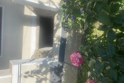 Casă cu Teren 1500 Mp în Ghirdoveni - 1