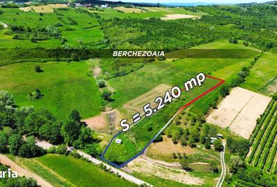 Teren de 5240 mp, în Copalnic