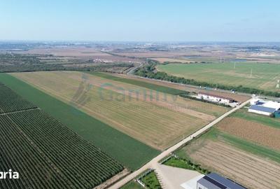 Teren de 10000 mp, în Biharia