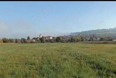 Teren de 3800 mp, în Gușterița