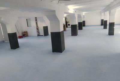 Casă cu 4 camere cu Teren 350 Mp în Aradul Nou