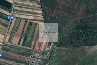 Teren de 11000 mp, în Clejani