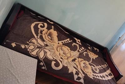 Apartament cu 2 camere decomandat în Podgoria - 7