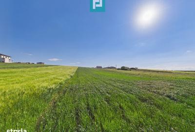 Teren de 3500 mp, în Sânmartin