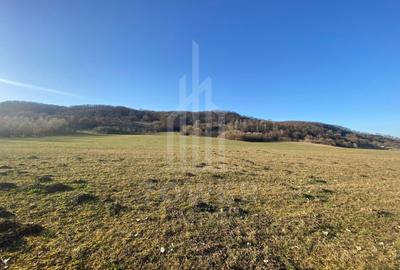 Teren agricol extravilan de 7500 mp, în Bradu - 1