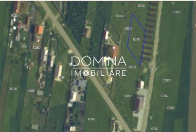 Teren Construcții intravilan de 978 mp, în Drăguțești - 2