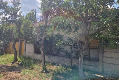 Casă individuală cu 4 camere cu Teren 2676 Mp în Boiu - 3